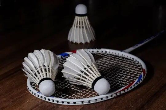 NYLON SHUTTLE COCK TOURNAMENT - VECTOR X